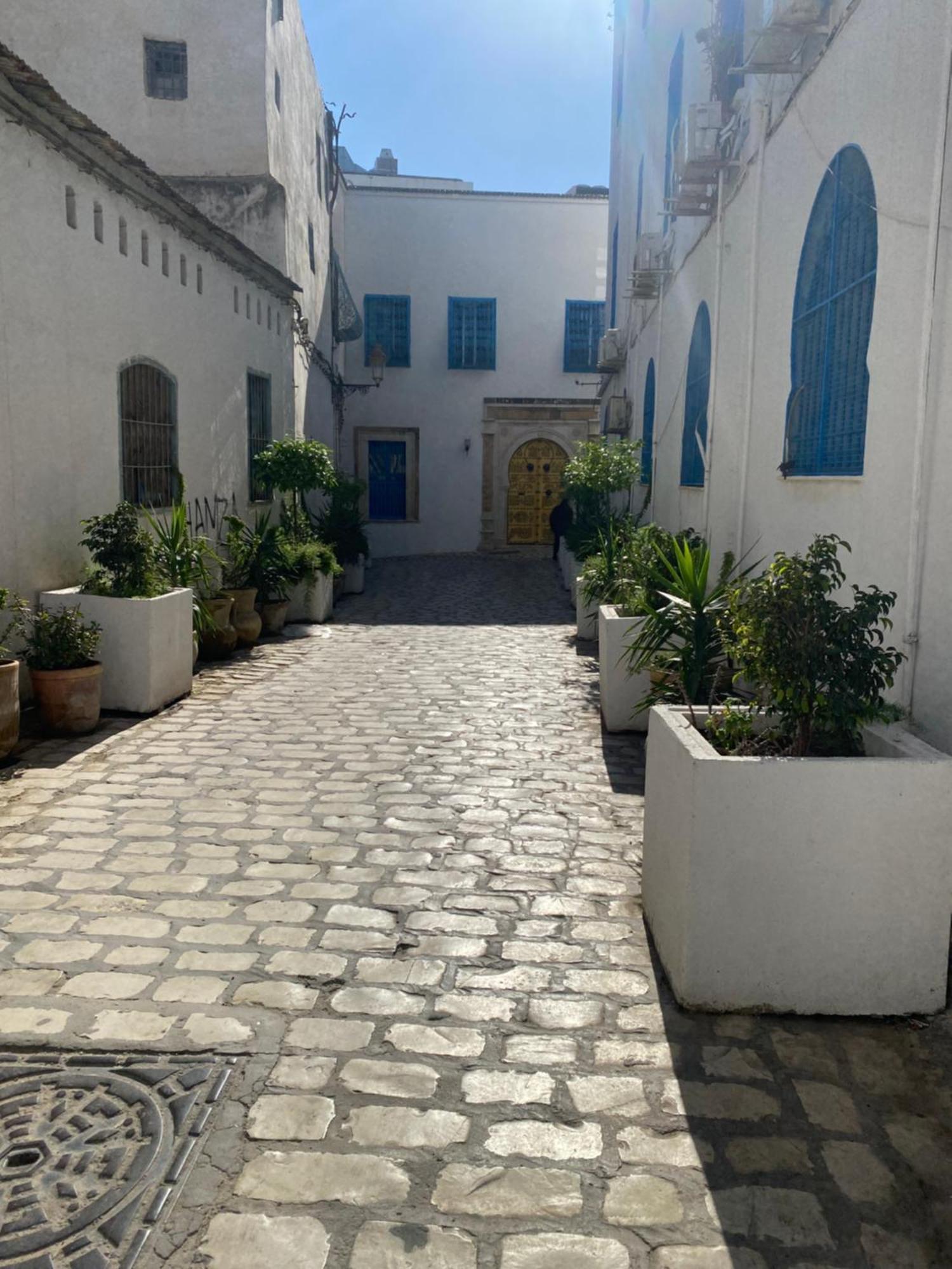 Medina Private Loft * Tunis